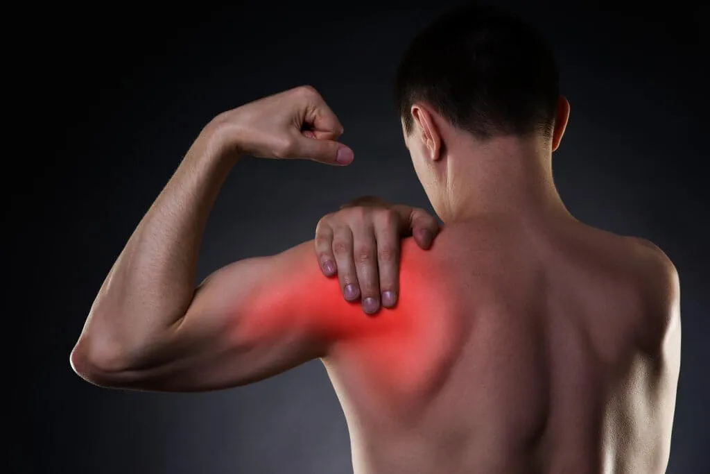 Muscle Recovery