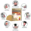 Japanese Pain Relief Patch for Joint & Muscle Care thumbnail